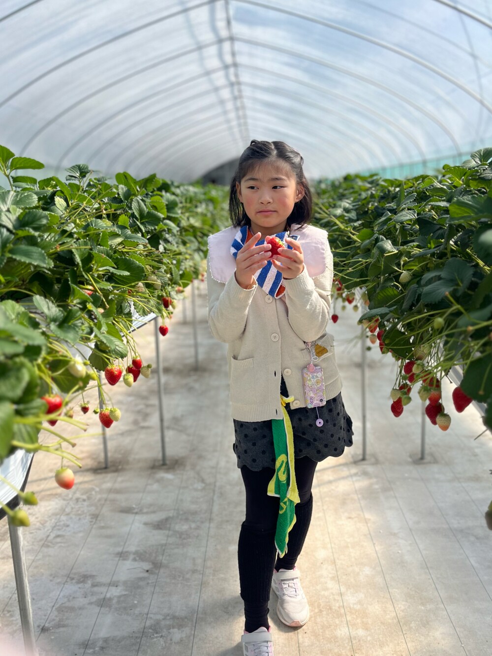 ホワイト系のシャツ/ブラウス、ホワイト系のカーディガン/ボレロ、グレー系のその他パンツを着用したキッズの春コーディネートの3枚目の写真