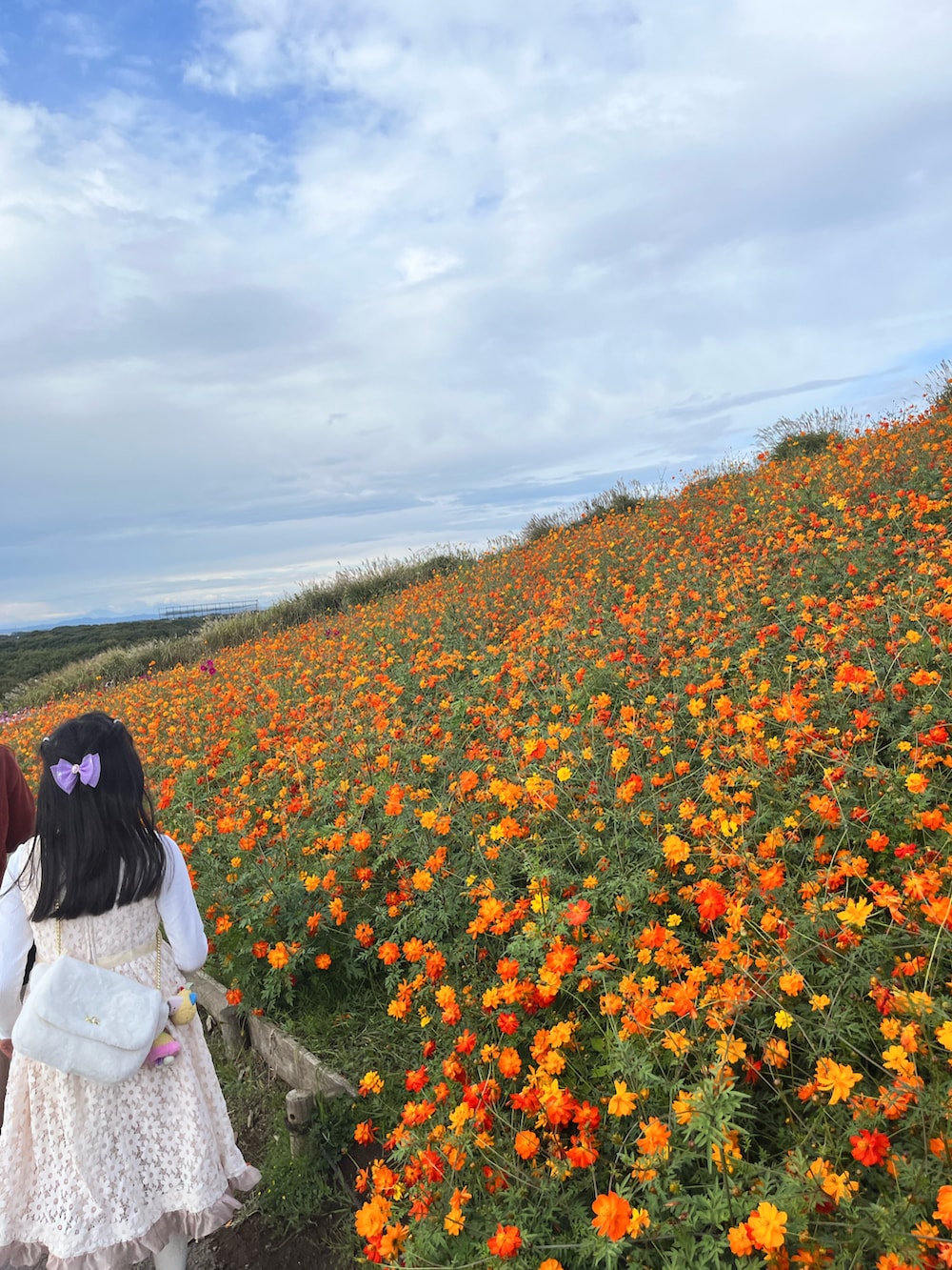 ホワイト系のドレスを着用したキッズの秋コーディネートの3枚目の写真