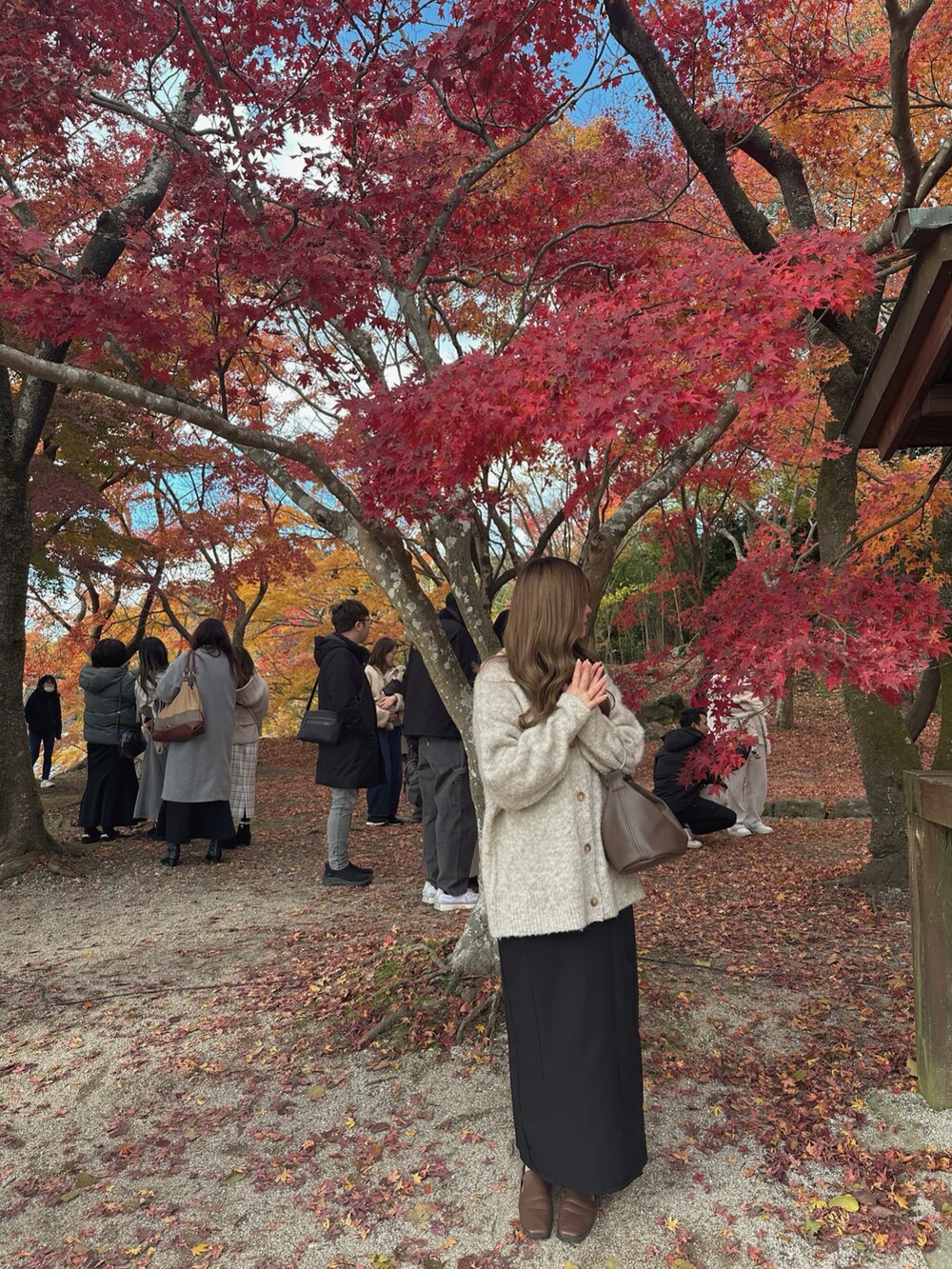 ブラウン系のショルダーバッグ、ブラック系のスカート、ホワイト系のカーディガン/ボレロを着用したレディースの冬コーディネートの2枚目の写真