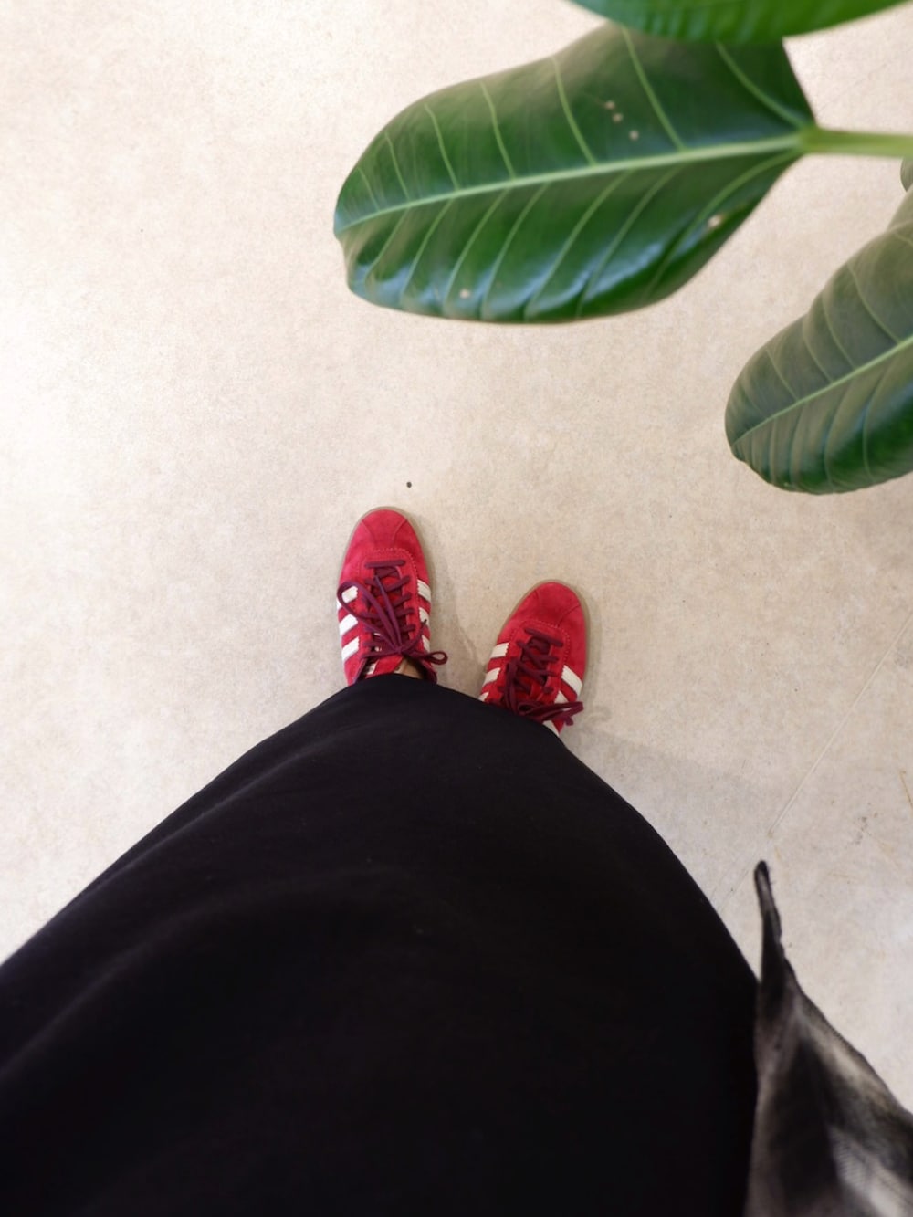 ブラック系のシャツ/ブラウス、ブラック系のワンピース、レッド系のスニーカーを着用したレディースの秋コーディネートの3枚目の写真