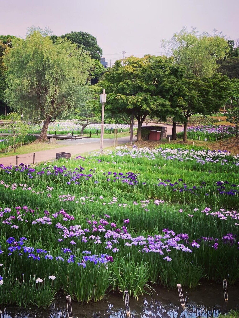 ベージュ系のサンダル、ブルー系のスラックス、ピンク系のショルダーバッグを着用したレディースの夏コーディネートの4枚目の写真