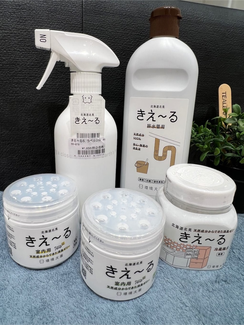 その他の掃除グッズ、その他の掃除グッズ、その他の掃除グッズを着用したレディースの夏コーディネートの7枚目の写真