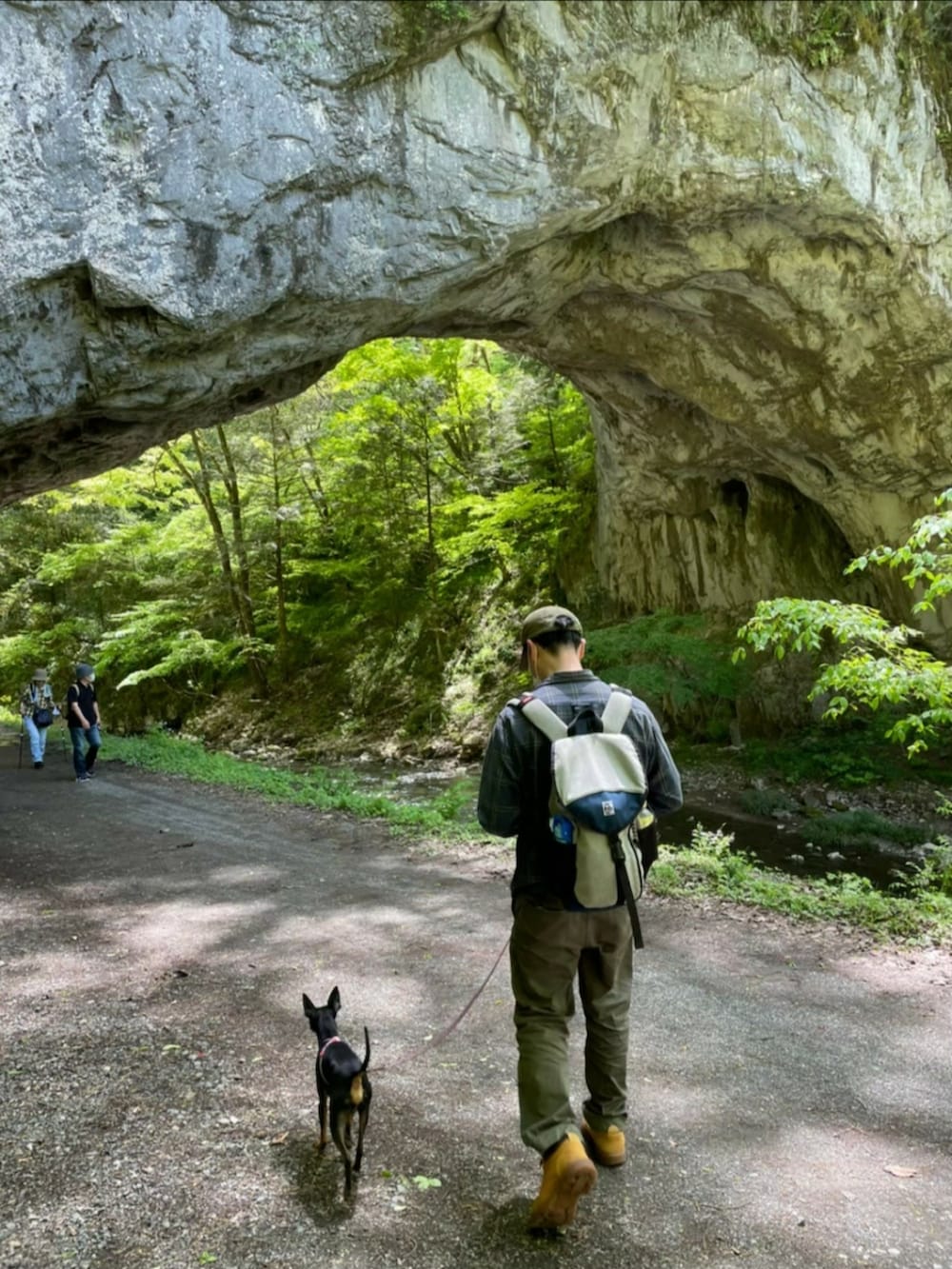 グリーン系のチノパンツ、グレー系のバックパック/リュック、ブルー系のシャツ/ブラウスを着用したメンズの秋コーディネートの2枚目の写真