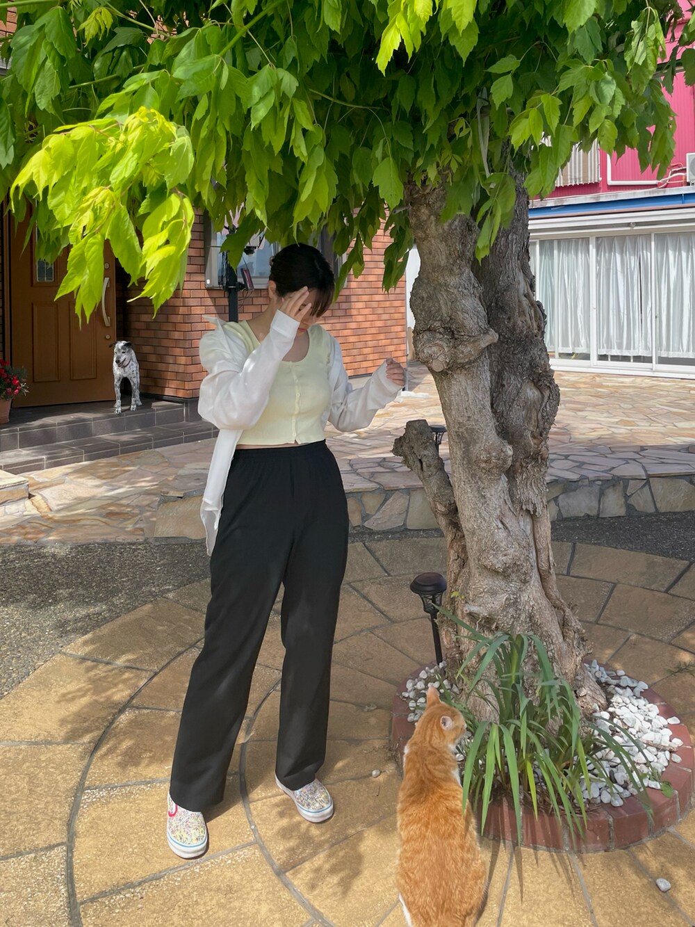 イエロー系のTシャツ/カットソー、ホワイト系のシャツ/ブラウス、ブラック系のパンツを着用したレディースの夏コーディネートの2枚目の写真