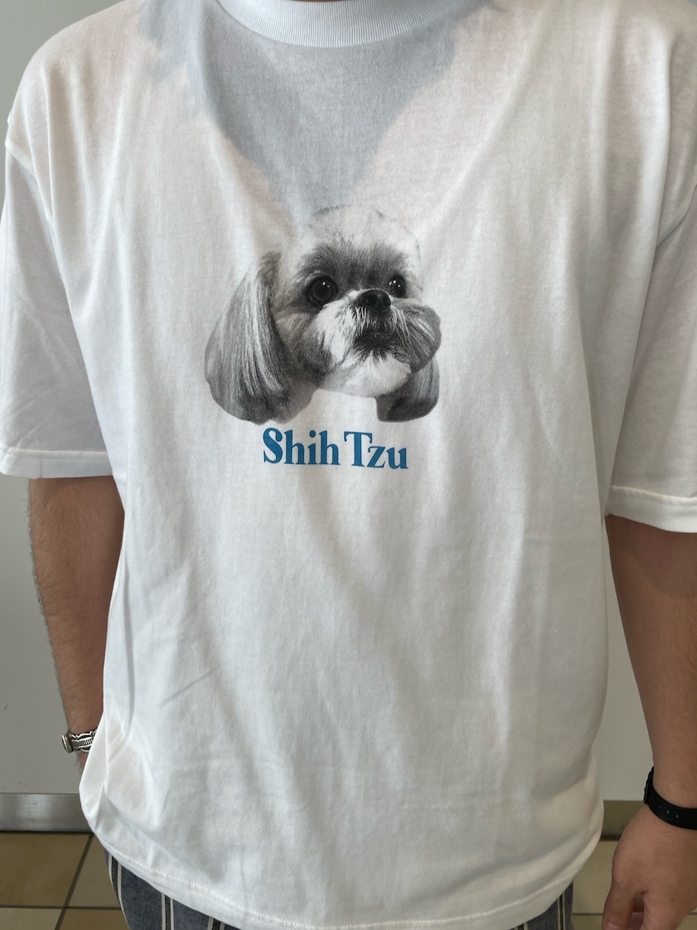 「サンダル、夏コーデ、白Tシャツ、メンズファッション、お出かけコーデ、メンズコーデ、ラフコーデ」｜「GLOSTERの【新柄追加】【GLOSTER/グロスター】DOG&CAT 犬猫プリントTシャツ（Tシャツ/カットソー、ホワイト系）」を使った、shouen392さん（メンズ・166cm）の夏コーディネートの2枚目の写真