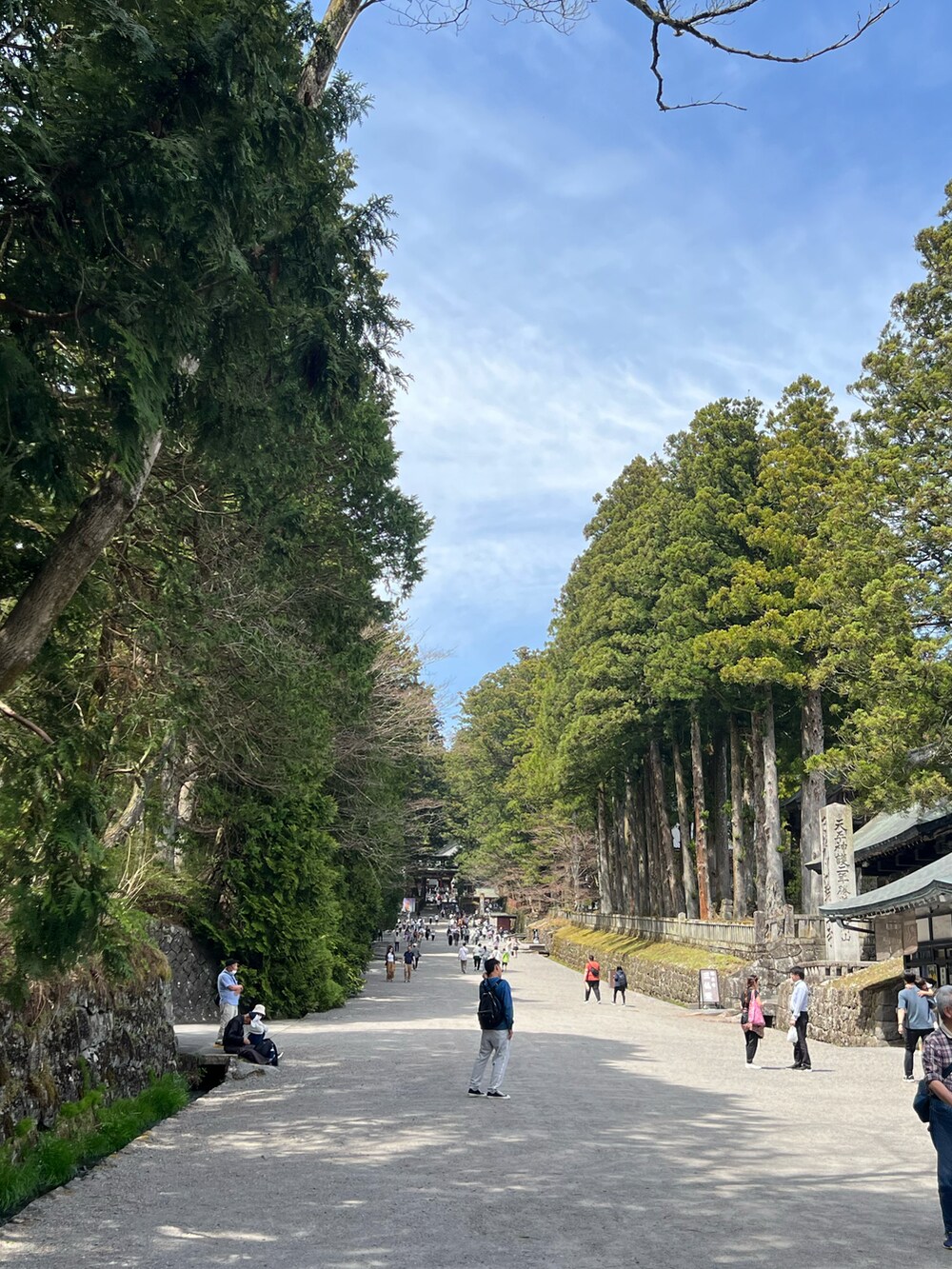 ブラック系のTシャツ/カットソー、グリーン系のデニムパンツ、レッド系のスニーカーを着用したメンズの春コーディネートの2枚目の写真