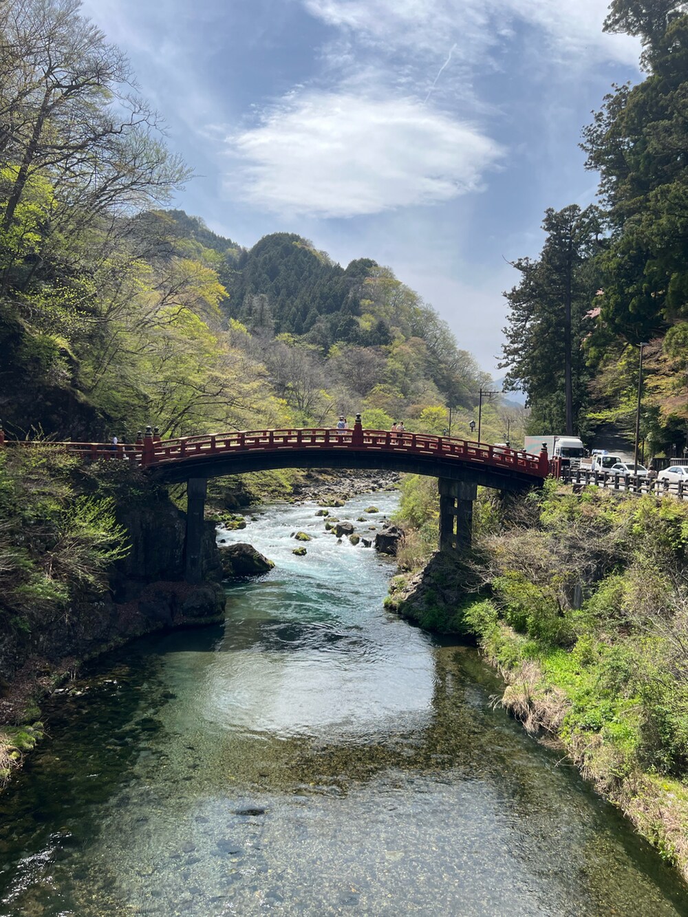 ブラック系のTシャツ/カットソー、グリーン系のデニムパンツ、レッド系のスニーカーを着用したメンズの春コーディネートの3枚目の写真