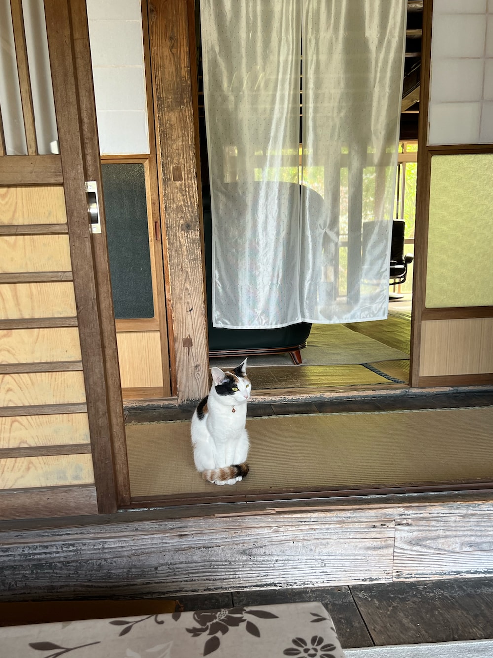 ブラック系のTシャツ/カットソー、ブルー系のデニムパンツ、その他のスニーカーを着用したメンズの春コーディネートの3枚目の写真