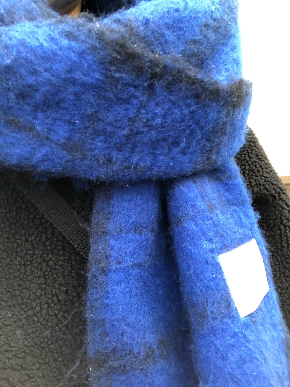 ブラック系のTシャツ/カットソー、ブルー系のマフラー、その他のネックレスを着用したレディースの冬コーディネートの2枚目の写真