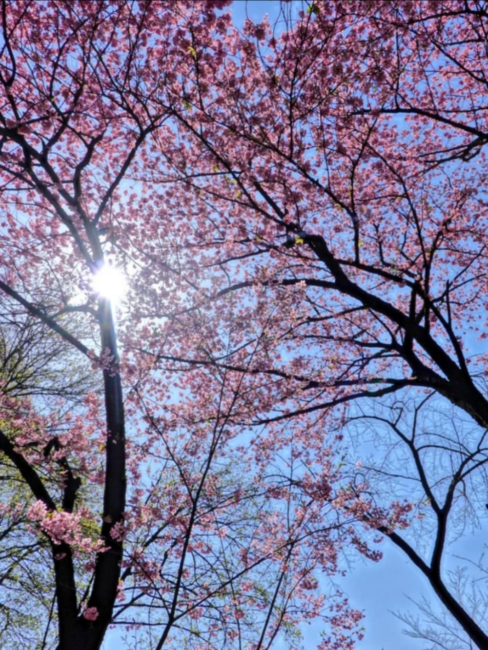 ブラック系のブーツ、ブルー系のデニムパンツ、グレー系のシャツ/ブラウスを着用したメンズの春コーディネートの5枚目の写真