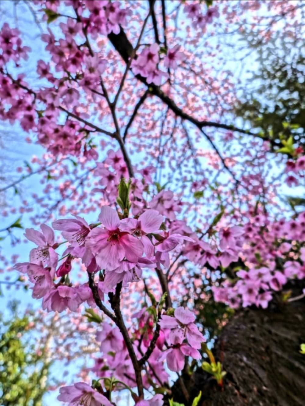 ブラック系のブーツ、ブルー系のデニムパンツ、グレー系のシャツ/ブラウスを着用したメンズの春コーディネートの4枚目の写真