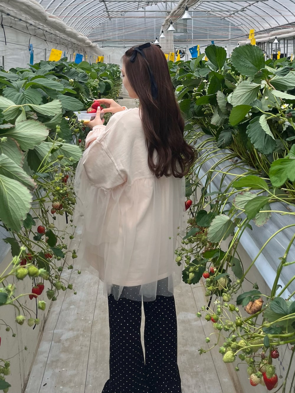 「春のおしゃ見えテクニック、今日のコーデ、パンツスタイル、おでかけコーデ、シンプルスタイル、春服みてみて、春ファッション、低身長コーデ、パンツコーデ、低身長、スウェット、チュール、休日スタイル、厚底シューズ」｜「Chicoの【2024SS】ピグメントチュールティアードルーズスウェット（スウェット、ピンク系）」を使った、miyu Ӧさん（レディース・148cm）の春コーディネートの2枚目の写真