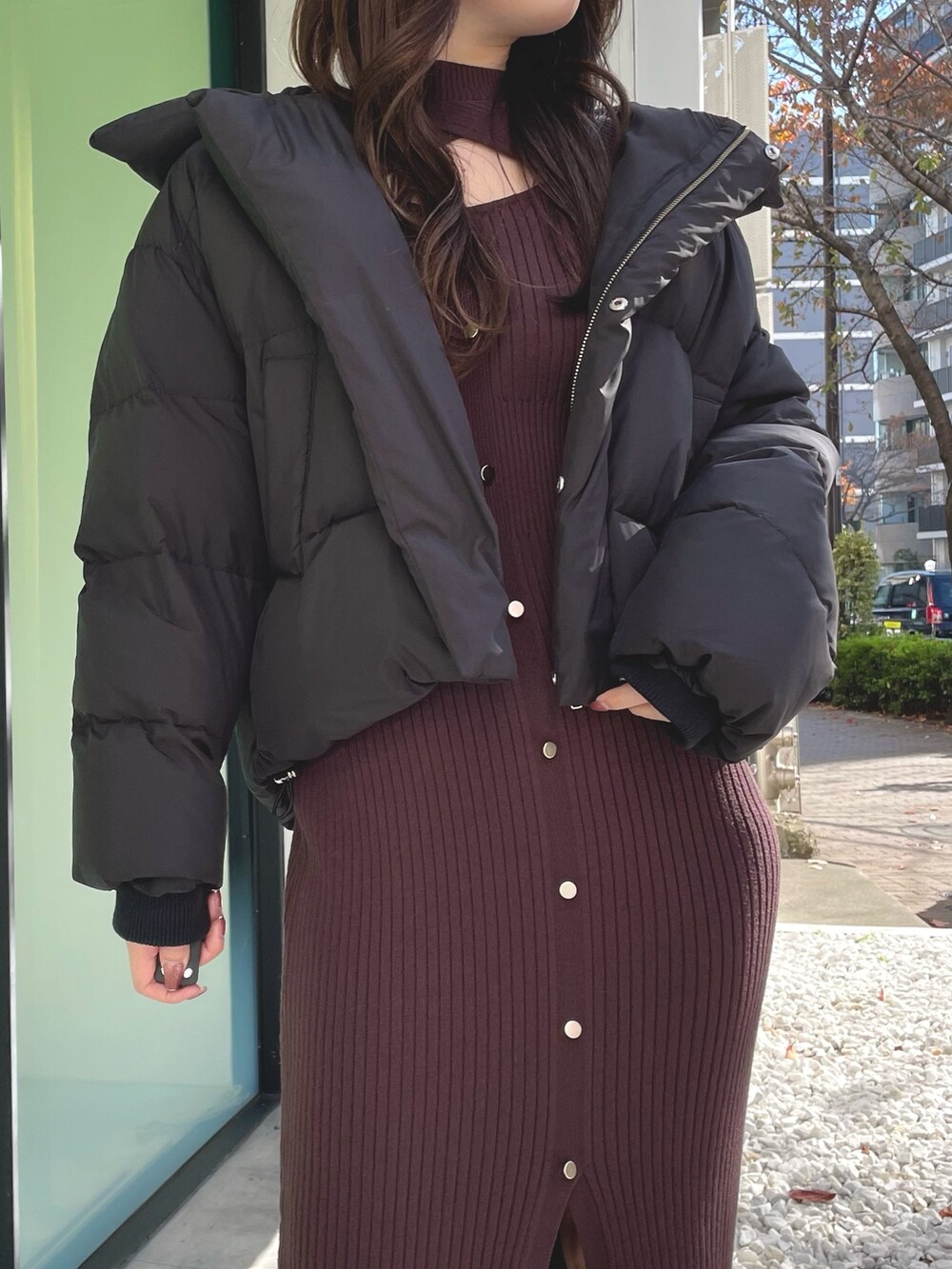 ブラック系のダウンジャケット/コート、ブラウン系のワンピース、ブラック系のブーツを着用したレディースの冬コーディネートの3枚目の写真