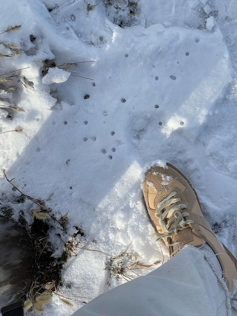 ホワイト系のパンツを着用したメンズの冬コーディネートの4枚目の写真