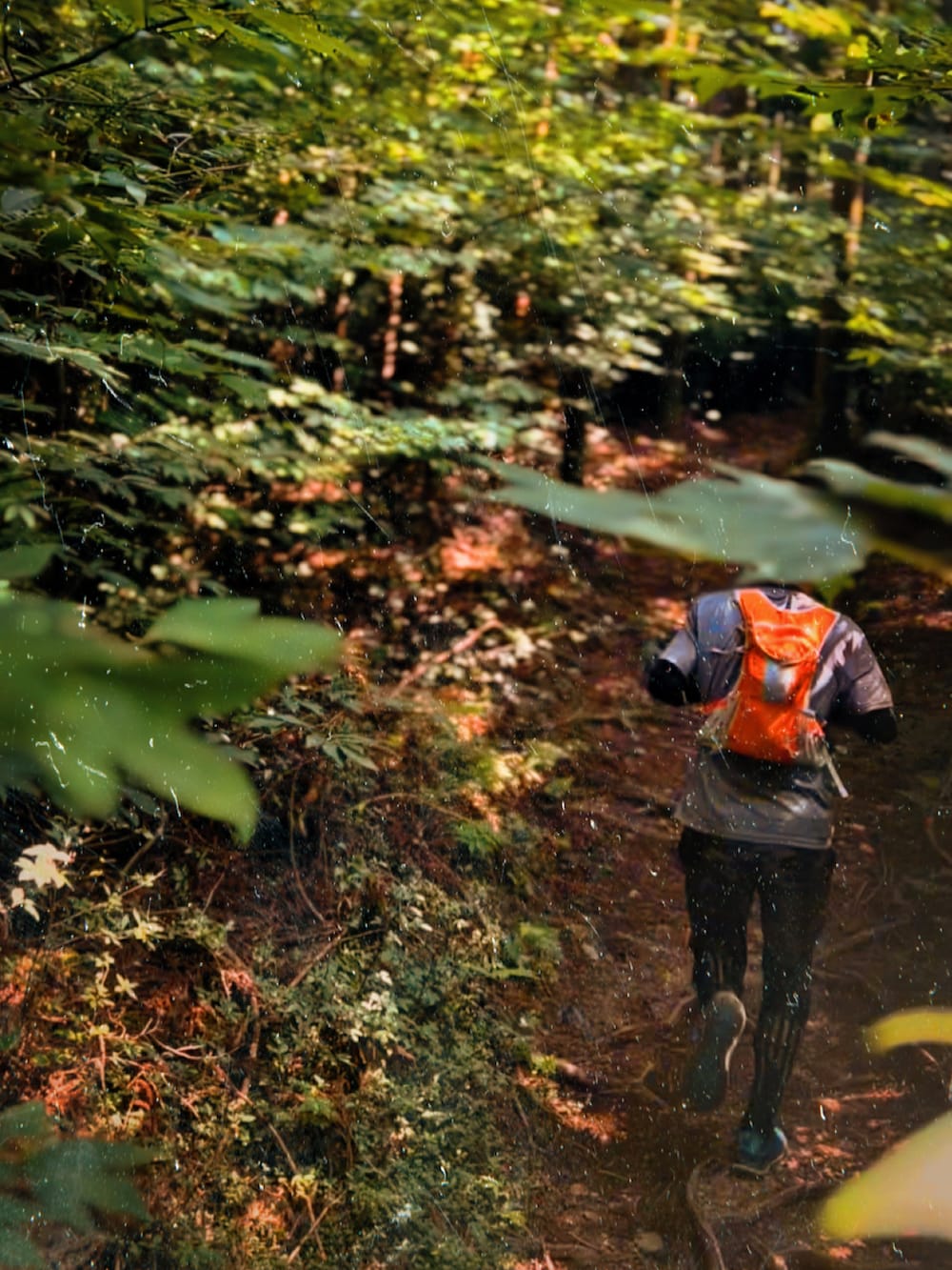 グレー系のTシャツ/カットソー、オレンジ系のバックパック/リュック、その他のその他パンツを着用したメンズの夏コーディネートの2枚目の写真