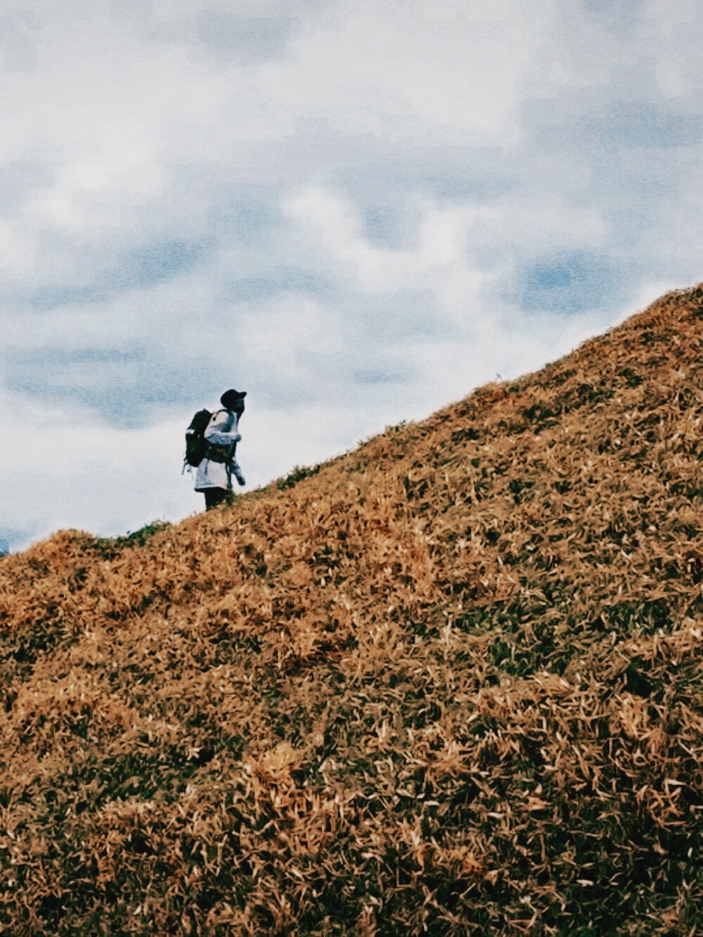 シルバー系のマウンテンパーカー、ベージュ系のカーゴパンツ、ブラック系のTシャツ/カットソーを着用したメンズの夏コーディネートの2枚目の写真