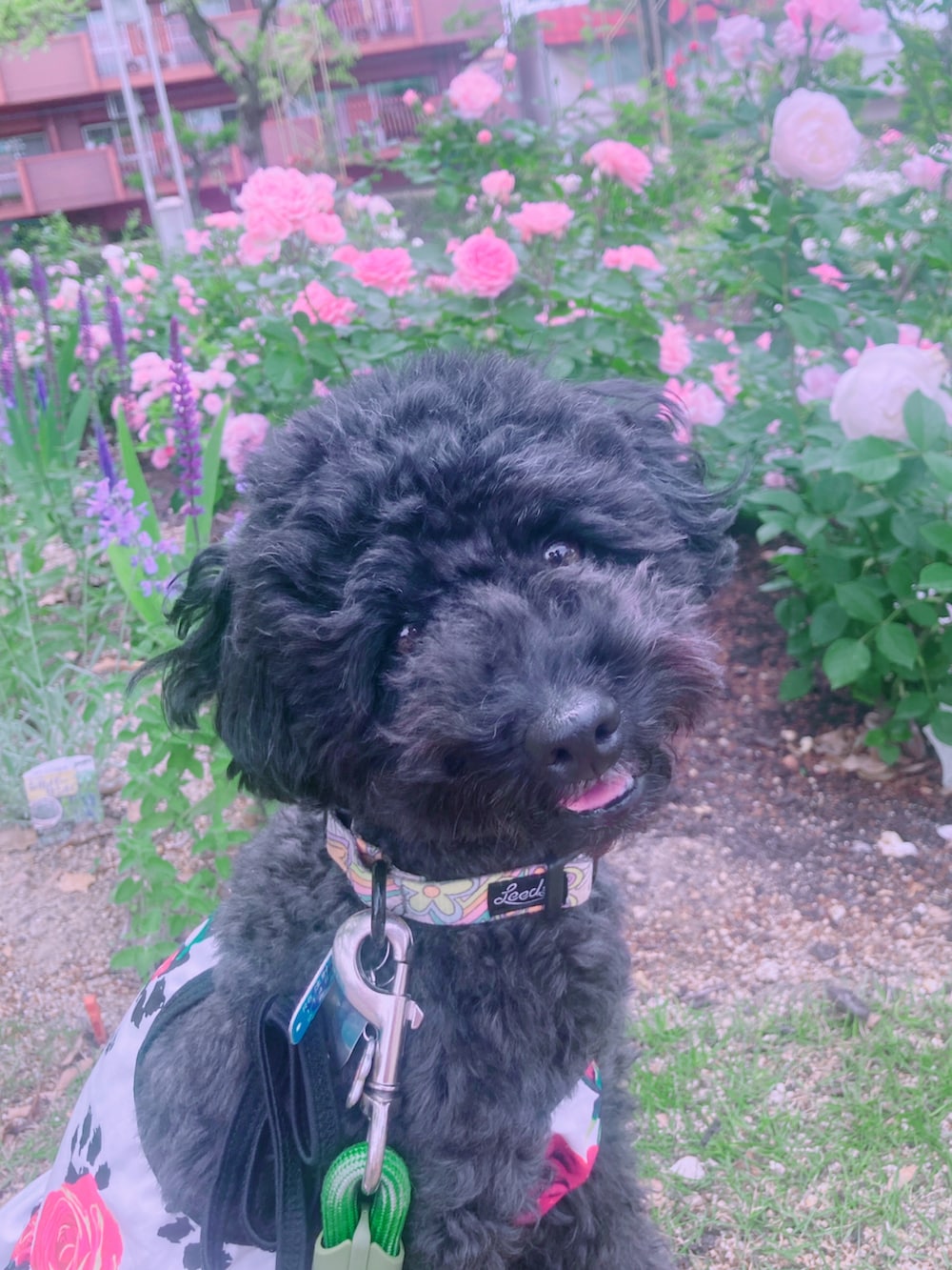 レッド系のスカート、ベージュ系のニット/セーター、ブラック系のその他シューズを着用したレディースの夏コーディネートの5枚目の写真