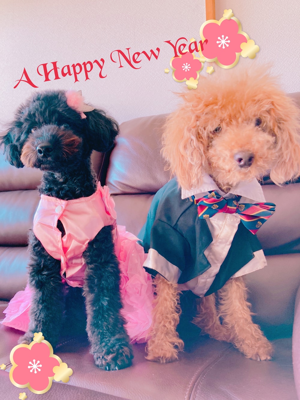 グリーン系のジャケット/アウター、ブルー系のオールインワン・サロペット、その他のベストを着用したレディースの冬コーディネートの2枚目の写真