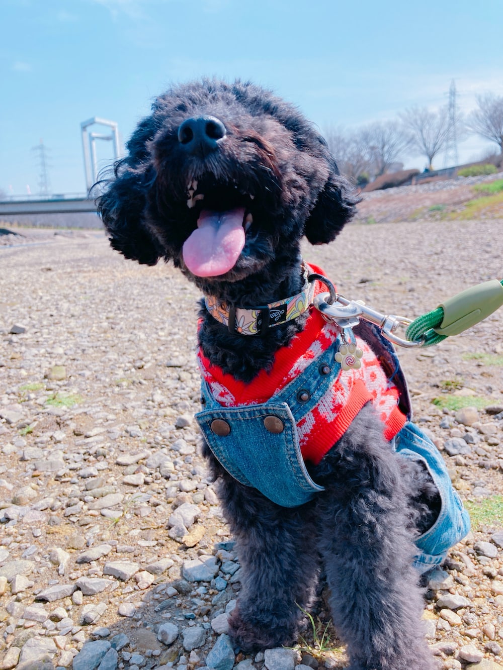 その他のワンピース、ブラック系のシューズ、ホワイト系のトートバッグを着用したレディースの春コーディネートの4枚目の写真