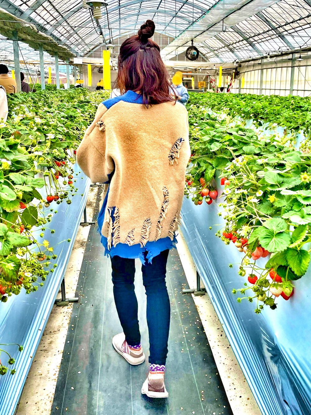 ブラック系のデニムパンツ、ブラック系のスニーカー、ベージュ系のニット/セーターを着用したレディースの春コーディネートの2枚目の写真