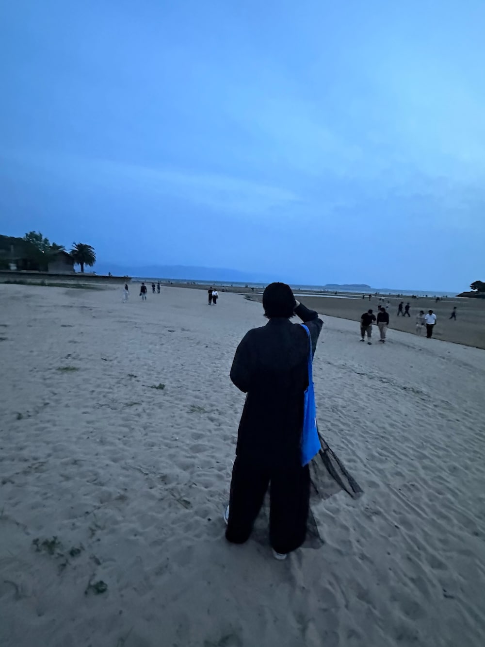 ブルー系のトートバッグ、ブラック系のワンピース/ドレスを着用したレディースの春コーディネートの2枚目の写真