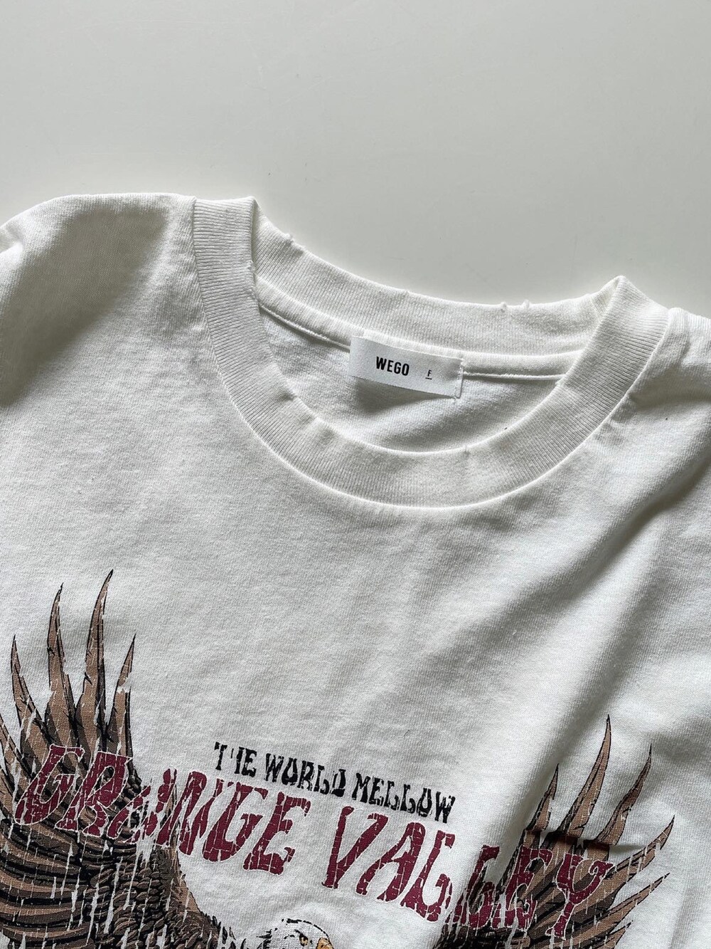 その他のTシャツ/カットソーを着用したレディースの夏コーディネートの5枚目の写真