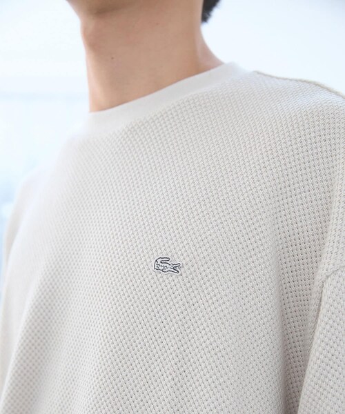 URBAN RESEARCH DOORS（アーバンリサーチドアーズ）の「『別注』LACOSTE×DOORS　HEAVY PIQUE LONG-SLEEVE（Tシャツ/カットソー・メンズ・HAMMAM/GRAPHITE/PORTO・3/4/5）」の8枚目の写真