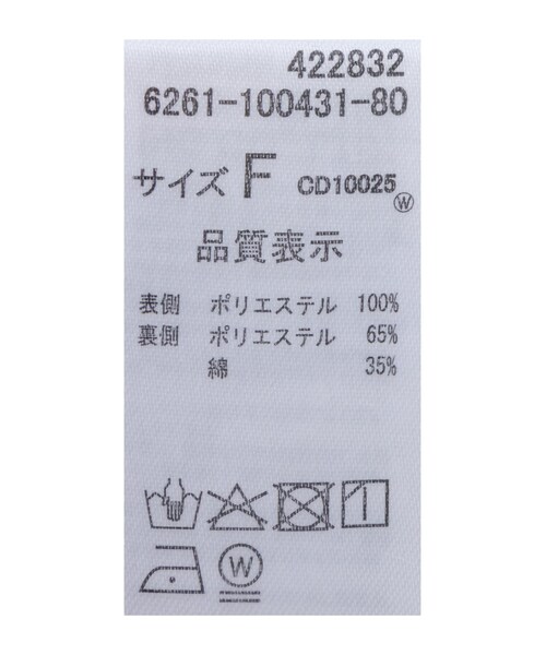 INGNI(イング)の「【SOELA】オーガンジーレイヤードトップス(トップス・レディース・オフホワイト/クロ・F)」の7枚目の写真
