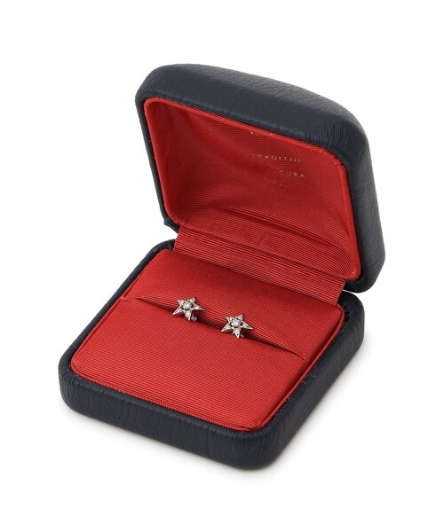 ADAM ET ROPE'（アダムエロペ）の「【GIGI（ジジ）】Hispania Stella earrings PT950+diamond（ピアス（両耳用）・レディース・その他・F）」の20枚目の写真