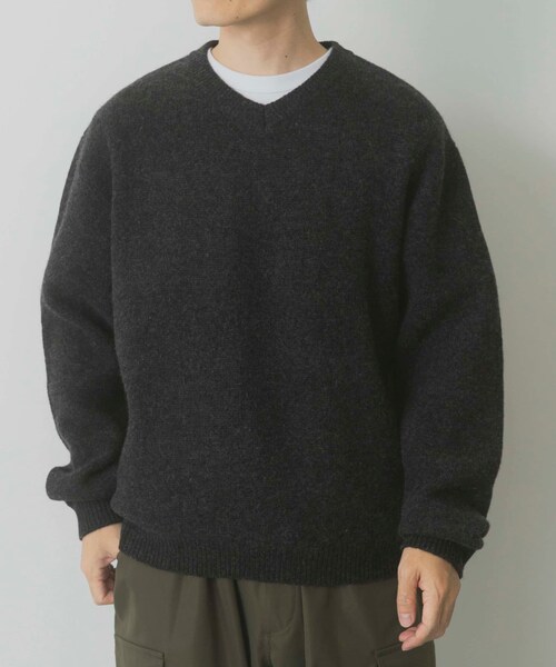 ITEMS URBANRESEARCH（アイテムズ アーバンリサーチ）の「タスマニア メリノウール100 Vネックニット（ニット/セーター・メンズ・WHT/BEG/MTD/DARK BLUE/BGD/CHA・M/L）」の17枚目の写真