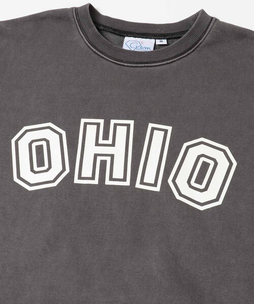 URBAN RESEARCH Sonny Label（アーバンリサーチサニーレーベル）の「GEM SPORTSWEAR　クルーネックロゴスウェット（スウェット・レディース・スミクロ/オートミール/ネイビー・M/L）」の13枚目の写真