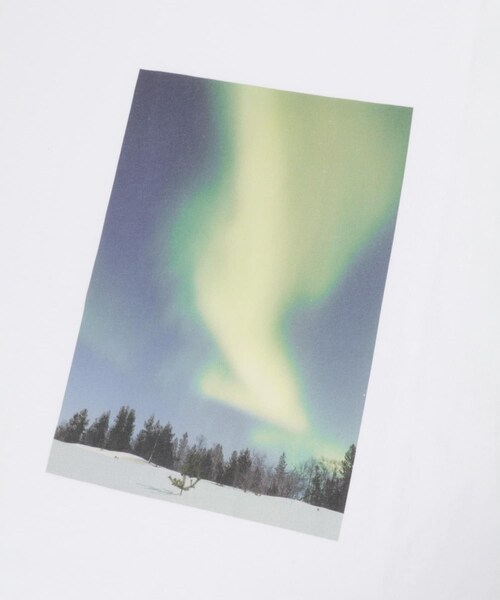URBAN RESEARCH DOORS(アーバンリサーチドアーズ)の「NATURE PHOTO SHORT-SLEEVE T-SHIRTS(Tシャツ/カットソー・メンズ・WHITE/BLACK・M/L)」の14枚目の写真