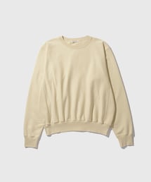 ADAM ET ROPE' | 【AURALEE/オーラリー】ELASTIC HIGH GAUGE SWEAT P/O(スウェット)