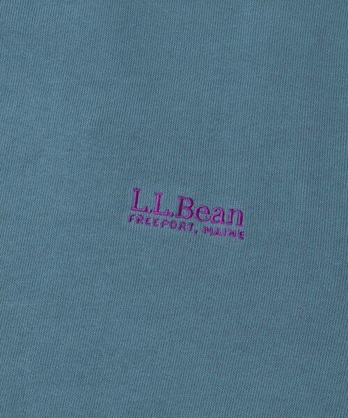 URBAN RESEARCH DOORS（アーバンリサーチドアーズ）の「L.L.Bean JAPAN EDITION　Crewneck Sweatshirts（スウェット・レディース・Ecru/Birch/Navy/Bordeaux/Straw/Ocean・M）」の17枚目の写真