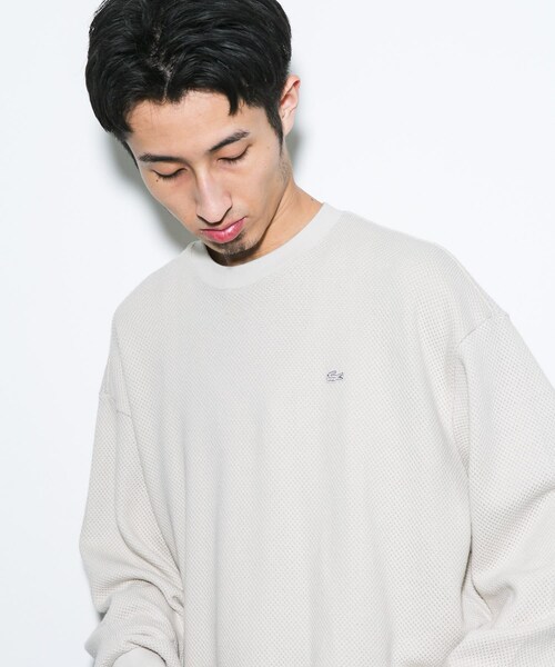 URBAN RESEARCH DOORS（アーバンリサーチドアーズ）の「『別注』LACOSTE×DOORS　HEAVY PIQUE LONG-SLEEVE（Tシャツ/カットソー・メンズ・HAMMAM/GRAPHITE/PORTO・3/4/5）」の15枚目の写真