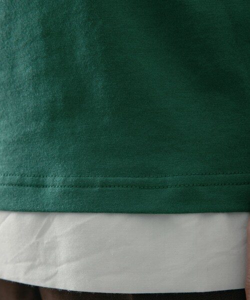 ITEMS URBANRESEARCH（アイテムズ アーバンリサーチ）の「フハクキリカエ TCクルーネックTシャツ（Tシャツ/カットソー・メンズ・BLU/BLK/GRN・M/L）」の20枚目の写真