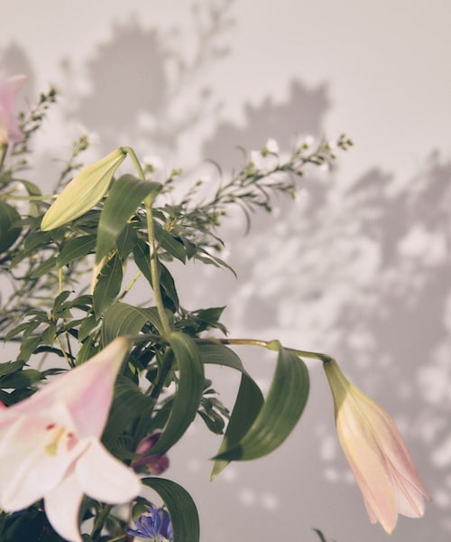 VIS（ビス）の「【DILIGENCE PARLOUR】VIS別注モデルフラワーロゴスウェット【セットアップ対応】（スウェット・レディース・ネイビー/ブルー系/イエロー・F）」の16枚目の写真