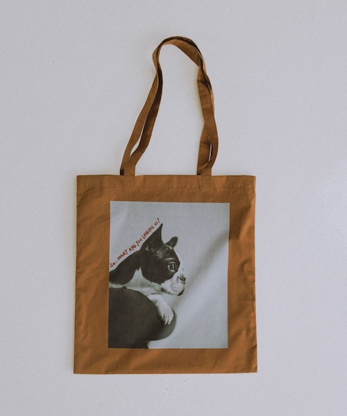 ROPE' PICNIC（ロペピクニック）の「【DOG MAGAZINE×ROPE' PICNIC】フォトトートバッグ（トートバッグ・レディース・ダークブラウン/ブルー/イエロー・F）」の10枚目の写真
