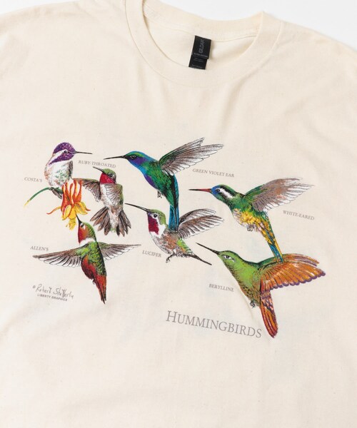 URBAN RESEARCH DOORS（アーバンリサーチドアーズ）の「LIBERTY GRAPHICS　Hummingbirds（Tシャツ/カットソー・メンズ・NATURAL・L/XL）」の8枚目の写真