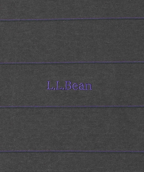 URBAN RESEARCH DOORS(アーバンリサーチドアーズ)の「L.L.Bean JAPAN EDITION UNION LONG SLEEVE STRIPE T-SHIRTS(Tシャツ/カットソー・メンズ・CCL×GREEN/BIRCH×NVY/BRN×YLW/NVY×CLOUD/SCA×NAVY・M/L/XL)」の11枚目の写真