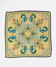 manipuri　65フロシス