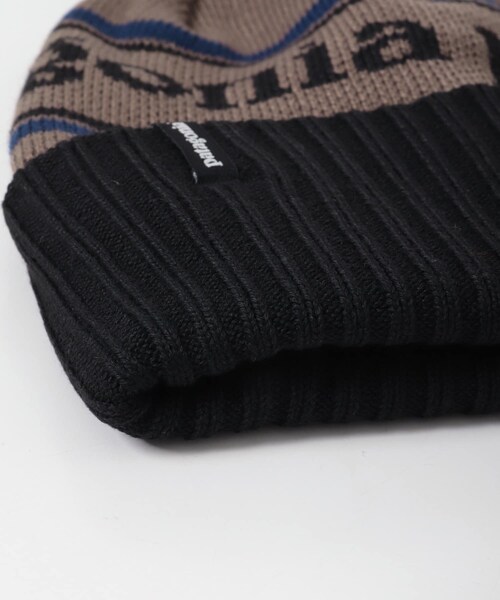 URBAN RESEARCH DOORS(アーバンリサーチドアーズ)の「patagonia Powder Town Beanie(ニットキャップ/ビーニー・メンズ・PKML/SSOL/PRVB・one)」の6枚目の写真