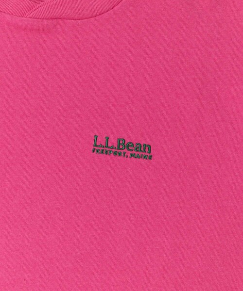 URBAN RESEARCH DOORS（アーバンリサーチドアーズ）の「L.L.Bean JAPAN EDITION　UNION LONG-SLEEVE T-SHIRTS（Tシャツ/カットソー・レディース・BIRCH/CARAMEL/ROSE・M）」の10枚目の写真
