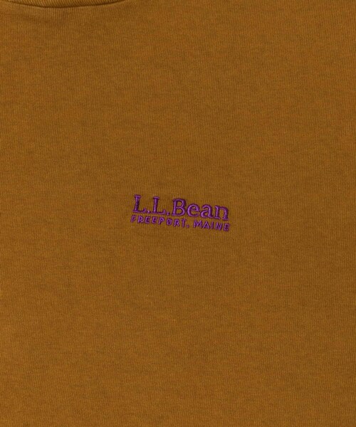 URBAN RESEARCH DOORS（アーバンリサーチドアーズ）の「L.L.Bean JAPAN EDITION　UNION LONG-SLEEVE T-SHIRTS（Tシャツ/カットソー・レディース・BIRCH/CARAMEL/ROSE・M）」の8枚目の写真