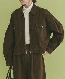 ITEMS URBANRESEARCH | 袖ボリュームZIPブルゾン(ブルゾン)