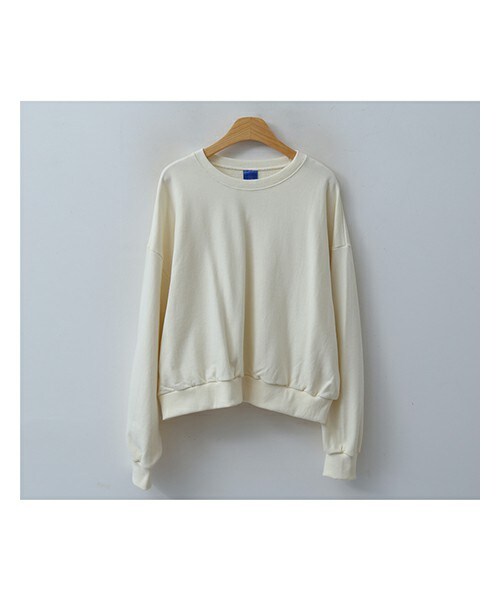 ENVYLOOK（エンビールック）の「無地ドロップショルダースウェットプルオーバー（スウェット・レディース・핑크/베이지/그린/그레이/그외・FREE(44-66)）」の3枚目の写真