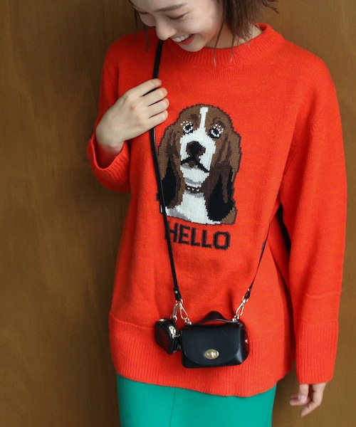 Three Four Time（ｽﾘｰﾌｫｰﾀｲﾑ）の「バセットハウンドインターシャニット