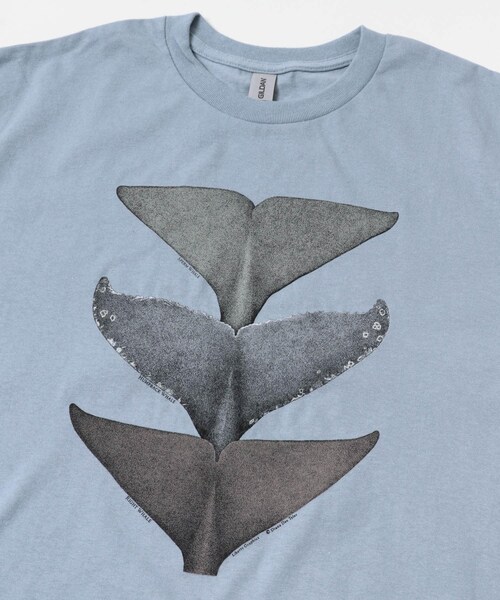 URBAN RESEARCH DOORS(アーバンリサーチドアーズ)の「LIBERTY GRAPHICS Whale Tails(Tシャツ/カットソー・メンズ・S.BLUE・L/XL)」の7枚目の写真