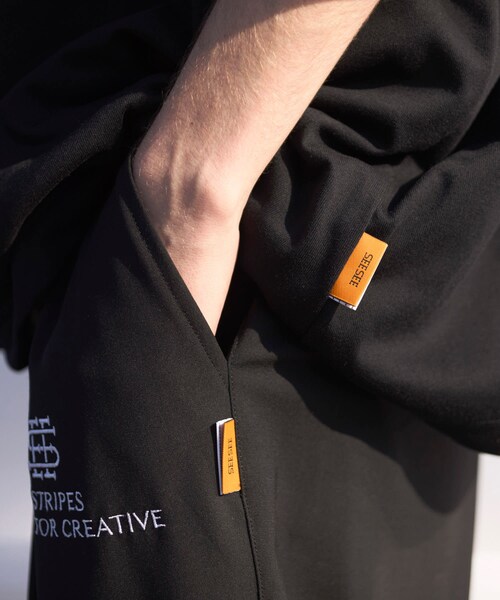 URBAN RESEARCH(アーバンリサーチ)の「SEE SEE×S.F.C TWO TUCK PANTS(WOOLTORO)(その他パンツ・メンズ・BLACK/NAVY・M/L/XL/XXL)」の5枚目の写真