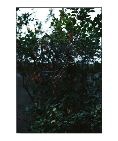 shiun（シウン）の「OMBRE SHIRT（シャツ/ブラウス・メンズ・グレー・XS/S/M）」の16枚目の写真